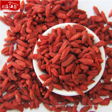 Großhandel rote Ningxia Goji-Beere